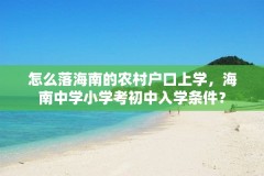 怎么落海南的农村户口上学，海南中学小学考初中入学条件？