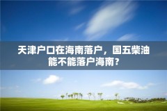 天津户口在海南落户，国五柴油能不能落户海南？