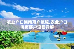 农业户口海南落户流程,农业户口海南落户流程详解