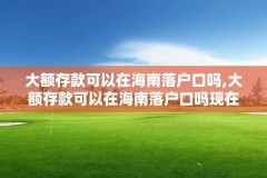 大额存款可以在海南落户口吗,大额存款可以在海南落户口吗现在