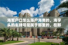 海军户口怎么落户海南的，海字头的车牌号是属于那里的，在那个省？