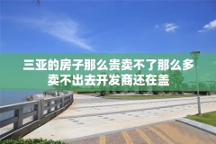 三亚的房子那么贵卖不了那么多卖不出去开发商还在盖