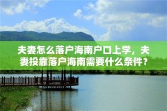 夫妻怎么落户海南户口上学，夫妻投靠落户海南需要什么条件？