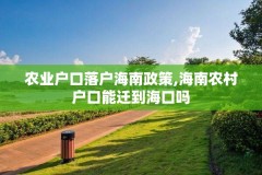 农业户口落户海南政策,海南农村户口能迁到海口吗