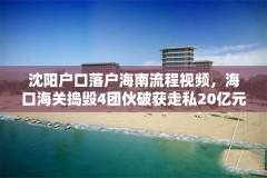 沈阳户口落户海南流程视频，海口海关捣毁4团伙破获走私20亿元宝石大案是怎么回事？