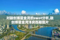 对融创博鳌金湾的swot分析,融创博鳌金湾洋房四期图片