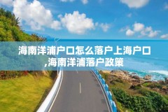 海南洋浦户口怎么落户上海户口,海南洋浦落户政策