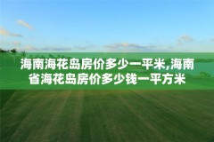 海南海花岛房价多少一平米,海南省海花岛房价多少钱一平方米