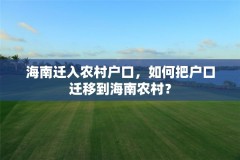 海南迁入农村户口，如何把户口迁移到海南农村？