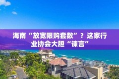 海南“放宽限购套数”？这家行业协会大胆“谏言”