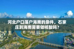 河北户口落户海南的条件，石家庄到海南需要做核酸吗？