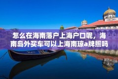 怎么在海南落户上海户口呢，海南岛外买车可以上海南琼a牌照吗？