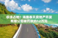 非法占地！海南春天房地产开发有限公司被罚款约12万元