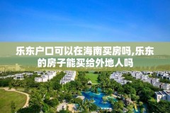 乐东户口可以在海南买房吗,乐东的房子能买给外地人吗