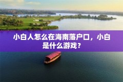 小白人怎么在海南落户口，小白是什么游戏？