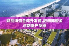 融创博鳌金湾开发商,融创博鳌金湾别墅户型图