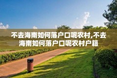 不去海南如何落户口呢农村,不去海南如何落户口呢农村户籍