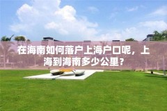 在海南如何落户上海户口呢，上海到海南多少公里？