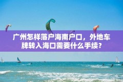 广州怎样落户海南户口，外地车牌转入海口需要什么手续？