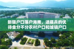 新疆户口落户海南，进藏兵的优待金分不分农村户口和城镇户口？