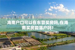 海南户口可以在东营买房吗,在海南买房能落户吗?