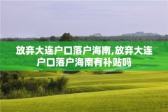 放弃大连户口落户海南,放弃大连户口落户海南有补贴吗