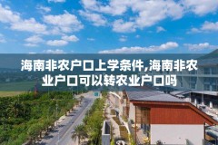 海南非农户口上学条件,海南非农业户口可以转农业户口吗