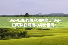 广东户口如何落户海南省,广东户口可以在海南办身份证吗?