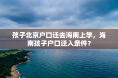 孩子北京户口迁去海南上学，海南孩子户口迁入条件？