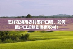 怎样在海南农村落户口呢，如何把户口迁移到海南农村？