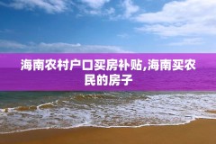 海南农村户口买房补贴,海南买农民的房子