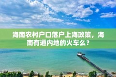 海南农村户口落户上海政策，海南有通内地的火车么？