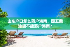 山东户口怎么落户海南，国五柴油能不能落户海南？