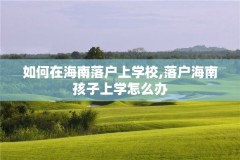 如何在海南落户上学校,落户海南孩子上学怎么办