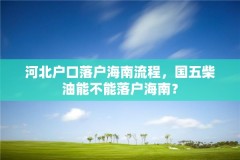 河北户口落户海南流程，国五柴油能不能落户海南？