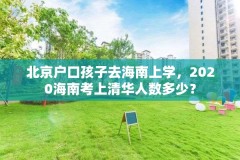 北京户口孩子去海南上学，2020海南考上清华人数多少？