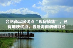 合肥商品房试点“现房销售”，已有地块试点，曾赴海南调研取经