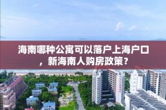 海南哪种公寓可以落户上海户口，新海南人购房政策？