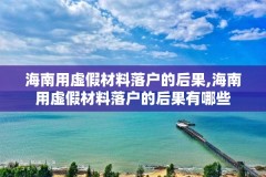 海南用虚假材料落户的后果,海南用虚假材料落户的后果有哪些