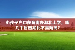 小孩子户口在海南去湖北上学，哪几个省回湖北不需隔离？