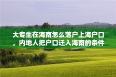 大专生在海南怎么落户上海户口，内地人把户口迁入海南的条件？