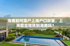 海南如何落户上海户口政策，上海能坐地铁到海南吗？