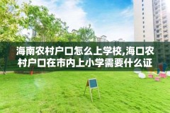 海南农村户口怎么上学校,海口农村户口在市内上小学需要什么证件