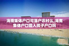 海南集体户口可落户农村么,海南集体户口能入孩子户口吗