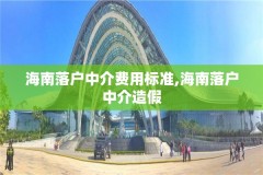 海南落户中介费用标准,海南落户中介造假