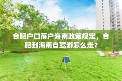 合肥户口落户海南政策规定，合肥到海南自驾游怎么走？