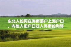 东北人如何在海南落户上海户口，内地人把户口迁入海南的利弊？