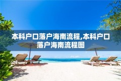 本科户口落户海南流程,本科户口落户海南流程图