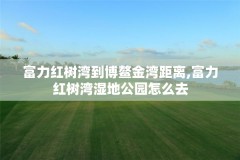 富力红树湾到博鳌金湾距离,富力红树湾湿地公园怎么去