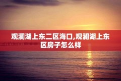 观澜湖上东二区海口,观澜湖上东区房子怎么样